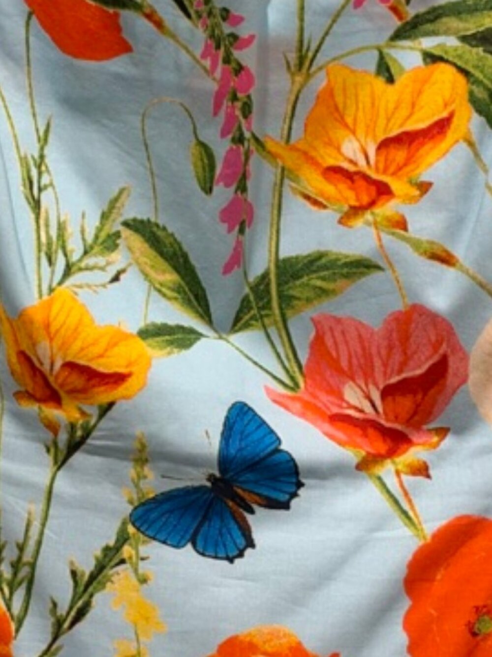 Cara Cara Floral Butterfly Midi Dress, Size 6, Blue Poppy Print